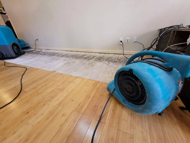 Professional Flood Damage Cleanup technician working in Saint George, SC